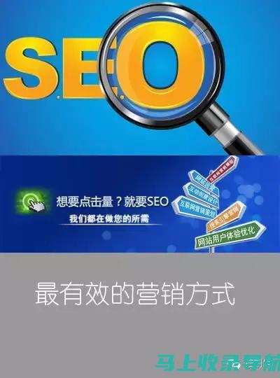 SEO基础教程全解析：从入门到精通的必经之路